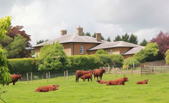 Beautiful 2 Bedroom Barn in Towcester Northants