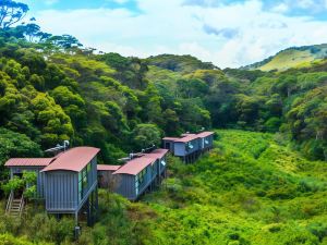 The Rainforest Ecolodge - Sinharaja with Shuttle Service