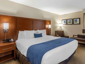 Comfort Inn Nashville - Opryland Area