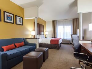 Comfort Suites Central-I-44