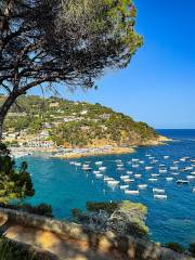 Platja de Llafranc