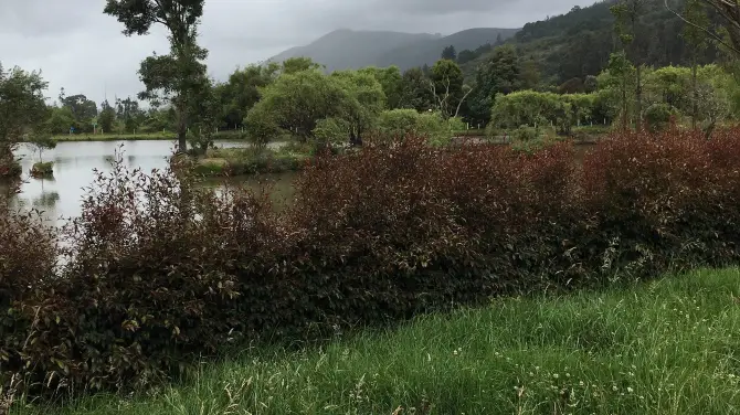 1_Parque Ecoturistico Puente Sopo