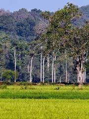 Cat Tien National Park Tours