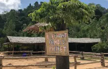 Kerchor​ Elephant​ Family​ Phuket