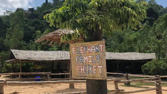 1_Kerchor​ Elephant​ Family​ Phuket