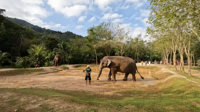 2_Green Elephant Sanctuary Park