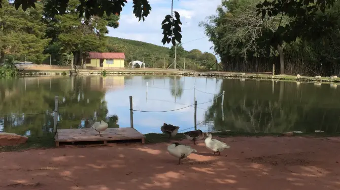 5_Parque Getúlio Vargas (Parque dos Macaquinhos)