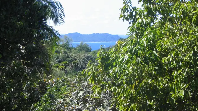 4_Vallee de Mai Nature Reserve