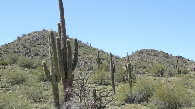 2_Sonoran Desert National Monument