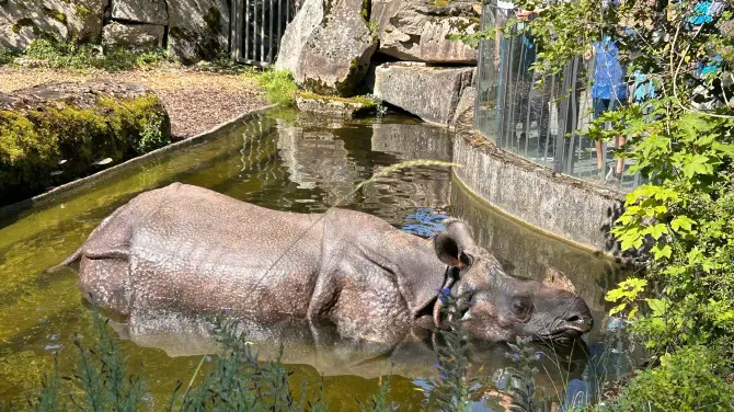 1_Hellabrunn Zoo