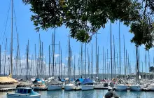 Rushcutters Bay Park