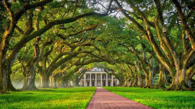 2_Oak Alley Plantation