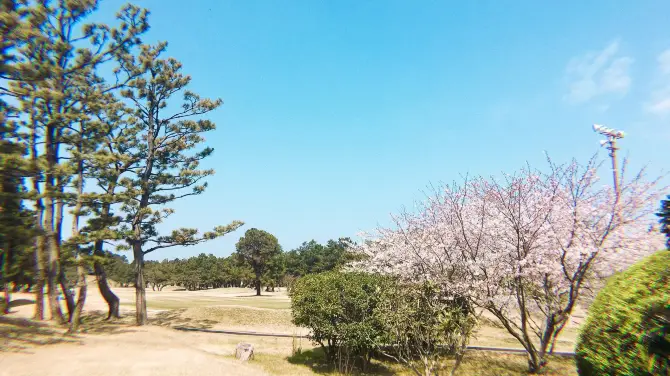 4_Saitozaki Seaside Country Club