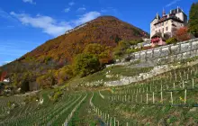 Château de Menthon-Saint-Bernard