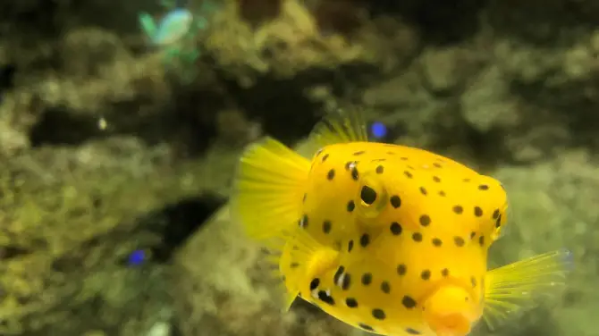 4_Lanzarote Aquarium