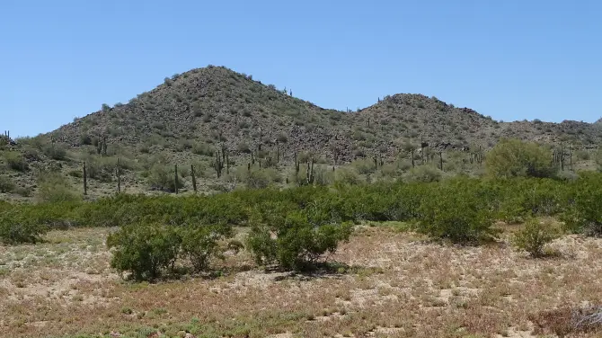 3_Sonoran Desert National Monument