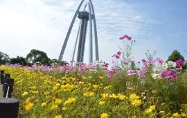 國營木曾三川公園 138塔公園