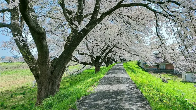 3_船岡城址公園