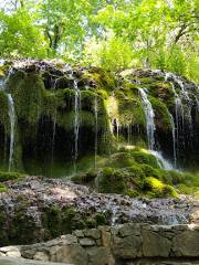 Sainte-Baume Natural Regional Park