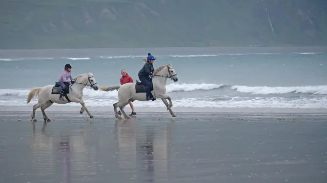 3_Calvey's Equestrian & Homestay Language Riding Centre