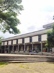 University of Valle