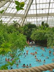 Water park Aqua Mundo Bispinger Heide