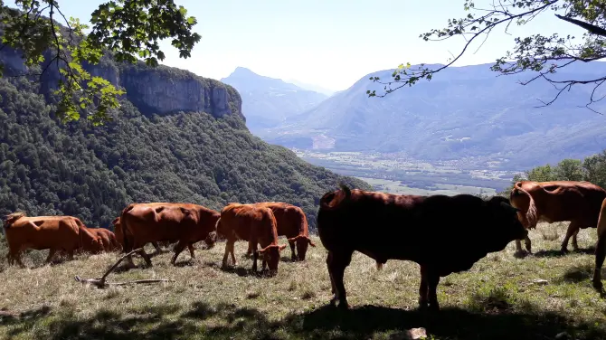 2_Monastere de Chalais