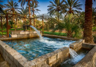 Al-Ahsa Oasis,