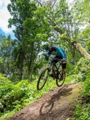 Bali Bike Park