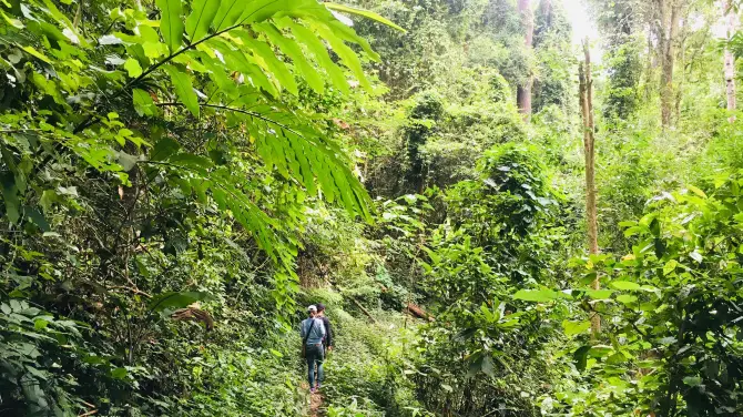 4_Doi Suthep-Pui National Park