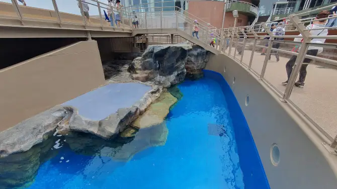 5_アクアワールド茨城県大洗水族館