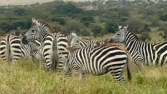 4_Nairobi National Park