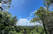 Bukit Kiara Hill Walk