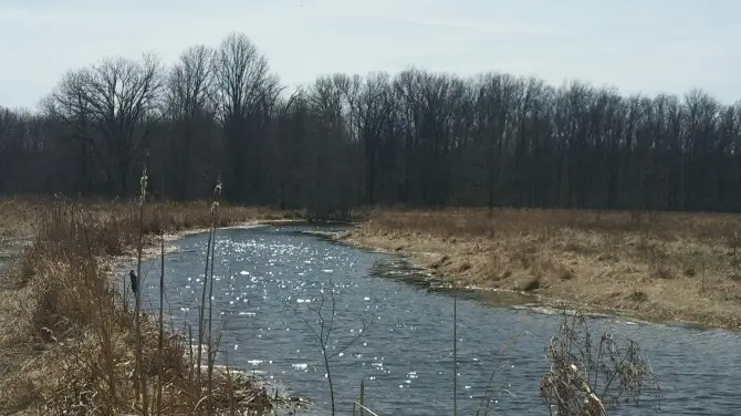 4_Seneca Meadows Wetlands Preserve