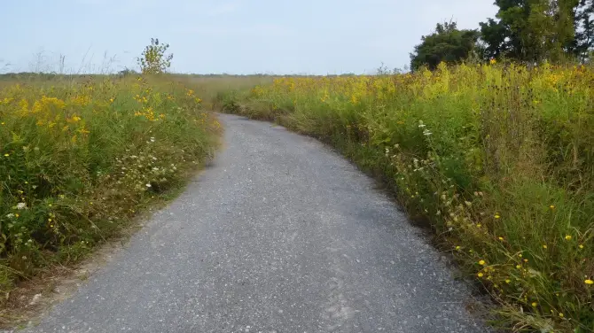 3_Seneca Meadows Wetlands Preserve