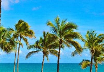 Fort Lauderdale Beach