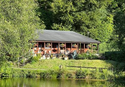 Tavistock Trout Farm and Fishery