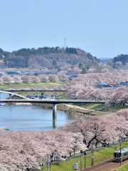 Funaokajōshi Park（船岡城址公園）