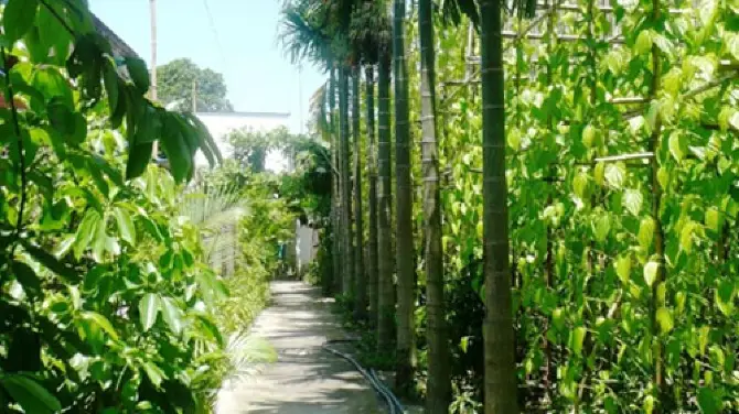 18 Villages of Betel Gardens