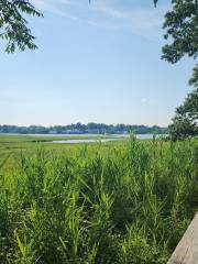 Sherwood Island State Park