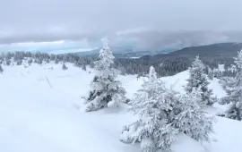 Parc naturel régional Jura vaudois