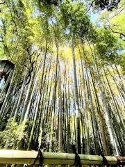 Omiya Hachiman Shrine