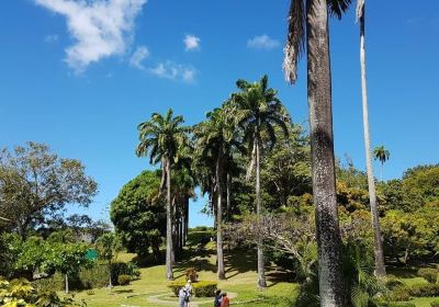 Western Tobago