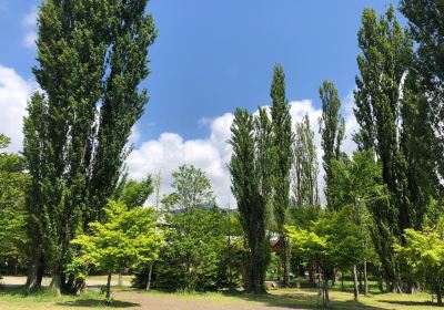 大池公園