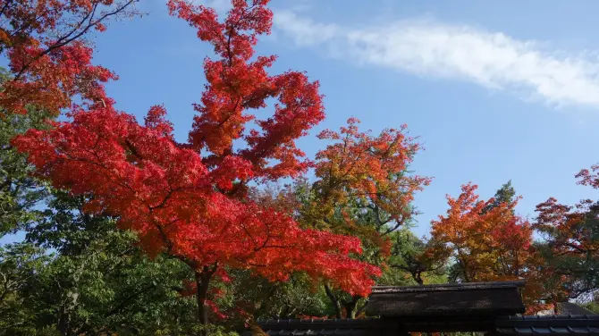 2_Yawata City Shokado Garden Art Museum