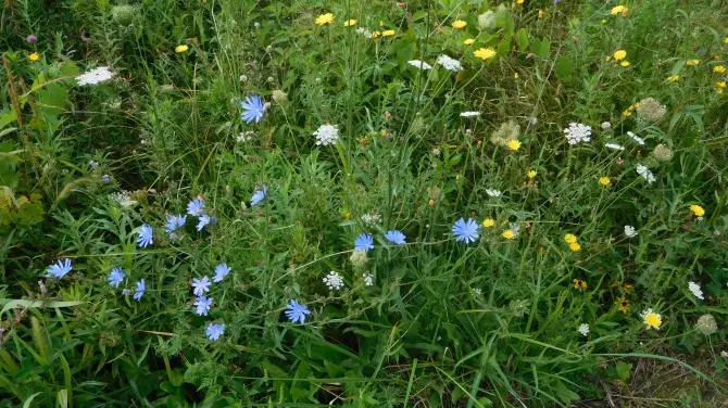 5_Seneca Meadows Wetlands Preserve