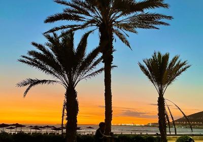 Agadir Beach