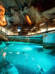 Cueva del Tesoro