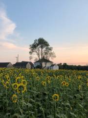 Buttonwood Farm Ice Cream