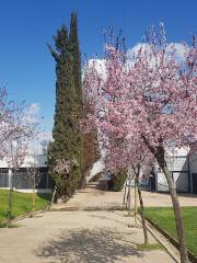 Cerro Almodóvar Park